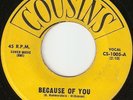 THE DREAMERS ORIGINAL DOO WOP 45 RPM - 