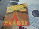 SAVOY BROWN RAW SIENNA 1970 MINT UK DECCA MUSEUM QUALITY