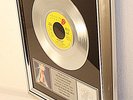 Rolling Stones, She Was Hot, Platin Record, platin Schallplatte, goldene