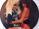 Iron Maiden ? pic picture disc rare collectable item