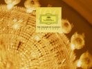 AUDIOPHILE 3-LP-COLOUR OF CLASSICS- ARGERICH-KARAJAN-KLEIBER- RAAR 