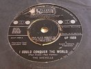 THE SHEVELLS - I COULD CONQUER THE WORLD - ORIGINAL 1964 7