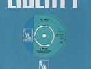 Al Wilson - Snake/ Who Could Be Lovin You - Liberty