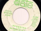 DICK WAGNER AND THE FROSTS Sunshine DATE Michigan Psych Garage RARE LISTEN