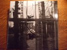 Paul McCartney Chaos And Creation In The Backyard  Mint copy