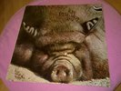 Kin Ping Meh No. 2 / Zebra-Schallplatte