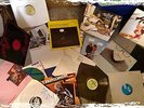 MINIMAL TECHHOUSE MIT 70 VINYLS PARTY STUFF  ELLEN ALIEN SYNTAX  JOHNSON UNA...