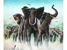 Elvis Costello & The Attractions:Armed Forces (MFSL 180g Vinyl)