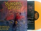 MUNICIPAL WASTE	Hazardous Mutation 12