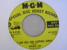 MAMIE LEE   - I CAN FEEL HIM SLIPPING AWAY  - MGM DEMO