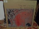 graham coxon the sky is too high vinyl lp original blur oasis pulp britpop