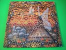 Ltd. Green Psych Space Rock LP 50/99 Echo In Light LAMP OF THE UNIVERSE Rare NM