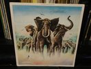 signed ELVIS COSTELLO & The Attractions / ARMED FORCES Rad 14 UK BAND AUTOGRAPH