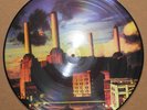 PINK FLOYD  -  PICTURE DISC  -  Animals