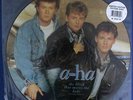 a-ha The blood that moves the body 12