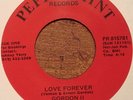 Gordon II VERY RARE Atlanta Modern Soul 45 on Peppermint Love Forever/The Jets