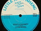 LITTLE HOWIE What A Calamity RARE ORIGINAL LITTLE JOHN NHENG DIGI ROOTS LISTEN