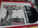 RARE LP SKREWDRIVER - AFTER THE FIRE - PUNK - RRR 75 -