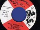 2013 SLIM SMITH-WHAT KIND OF LOVE-NIGHT OWL-WINSTON WRIGHT-TREA ISLE-REGGAE 7