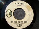 60s PENNSYLVANIA GARAGE--BATS--HOW COULD YOU HAVE KNOWN--MERBEN 501, PROMO