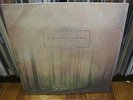 IF THESE TREES COULD TALK Red Forest LP Highlighter w/ splatter 200 OOP Caspian