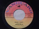 Mod R&B Nor Soul Dancer 45 Shake It Baby/Stomach Ache JUNIOR WELLS Vanguard M-
