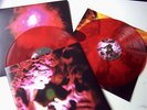 Porcupine Tree Up The Downstair 180 Gram 2-LP Record Set Red Vinyl Steven Wilson
