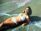 SEXY NUDE COVER & CHEESECAKE  YUJIRO MABUCHI / Yuube no himitsu 