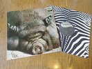 KIN PING MEH No 2 LP Original ZEBRA 1972  DEUTSCH KRAUTROCK MONSTER RAR MINT