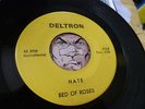BED OF ROSES Hate 1966 EASTERN BAROQUE GARAGE PSYCH Bob Dylan Byrds 45 LISTEN