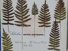 Philips HiFi Stereo, David Oistrakh, Sibelius – Violin Concerto