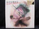 David Bowie Excerpts From Outside green vinyl lp V&A 89/500 limited exclusive