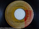 Los Intocables - No te preocupes - Wild Fuzz break beats El Salvador R(vg+) ??