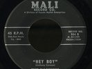 Doo Wop 45   Illusions   Hey Boy   Mali   mp3
