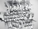 Gomez - Whatever's On Your Mind (2011, Vinyl NEW)