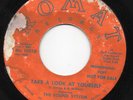 the sound system - take a look at yourself - romat RARE NC garage psych 45 mp3