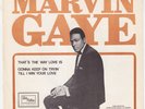 MARVIN GAYE That's The Way Love Is RARE Sweden 45 UNIQUE swedish ps TAMLA MOTOWN