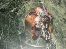 IRON MAIDEN INFINITE DREAMS (live) 12' UNCUT PICTURE DISC Maxi  