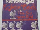 ROTOMAGUS: Fightin' Cock   MONSTER 1971 PROTO-PUNK KBD ?? MC5   Stooges