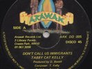 TABBY CAT KELLY - DON'T CALL US IMMIGRANTS 12