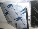 MUSE   ABSOLUTION  2003 ORIGINAL  TASTE   2LP INDIE NOISE BLUR  OASIS RADIOHEAD