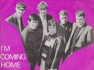 THE NASHVILLE TEENS - I'M COMING HOME  BELGIAN PS