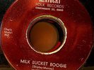 HARRY ADAMS W BUFFALO JOHNSON: MILK BUCKET BOOGIE, RARE HILLBILLY