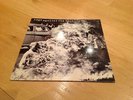 Rage Against The Machine Lp