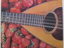 2LP - The Strawbs - Best Of - mint- . Part Of The Union Blue Angel New World