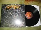 Suffocation - Pierced From Within - LP MINT #12/100 (Cannibal Corpse, Deicide)