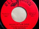 * OTIS BROWN Sound Of The Wind/Somebody Help Me RARE NORTHERN SOUL Ole 45 Hear