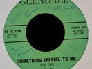 HEAR IT GARAGE ROCKER The Little Boppers GLENDALE 1001 Chattanooga Drummer Man
