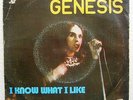 GENESIS - I KNOW WHAT I LIKE 7/45 PORTUGAL PS 1973 RARE PROGR UNIQUE PORTUGUESE