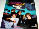 the Psychedelic Sound of BLOSSOM TOES Made in Italy on R International
